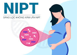 x&eacute;t nghiệm NIPT ở đ&acirc;u uy t&iacute;n